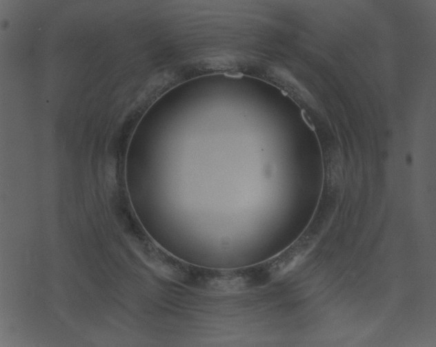 X0000071770213200606301203