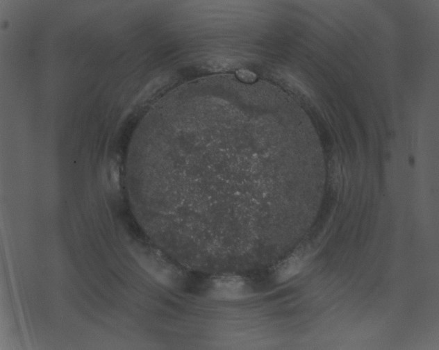 X0000071770214200606301203