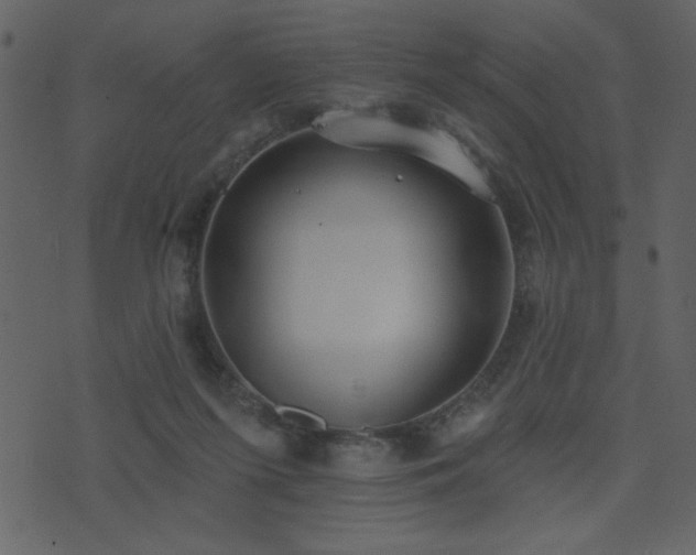 X0000071770215200606301203