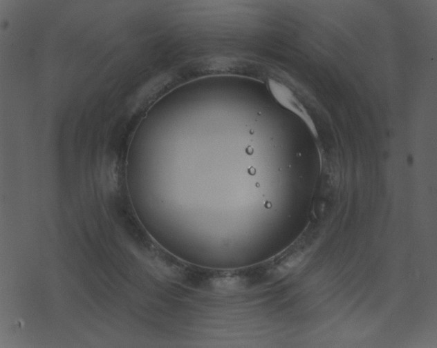 X0000071770216200606301203