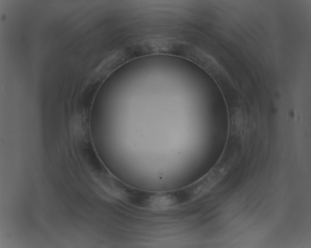 X0000071770218200606301203