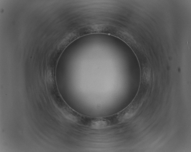 X0000071770220200606301203