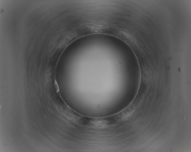 X0000071770221200606301203