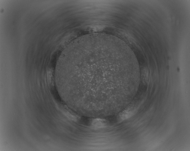 X0000071770222200606301203