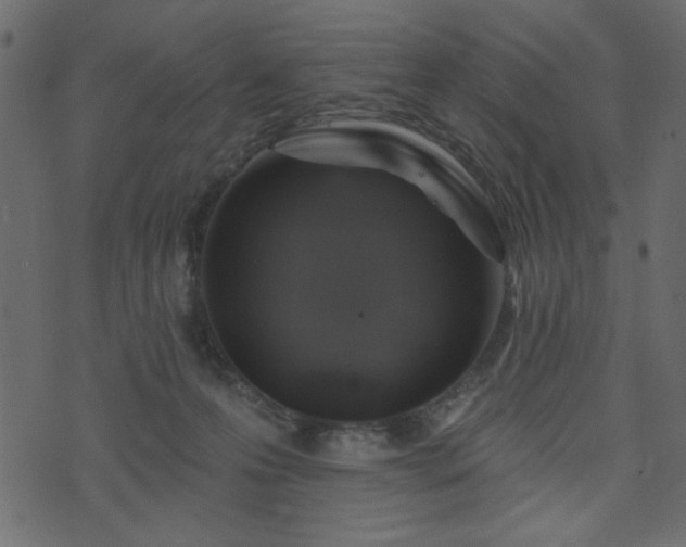 X0000071770223200606301203