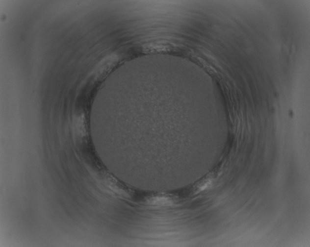 X0000071770224200606301203