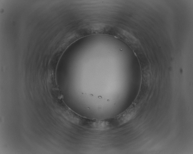 X0000071770225200606301203