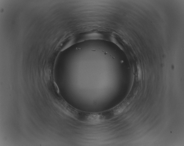 X0000071770227200606301203