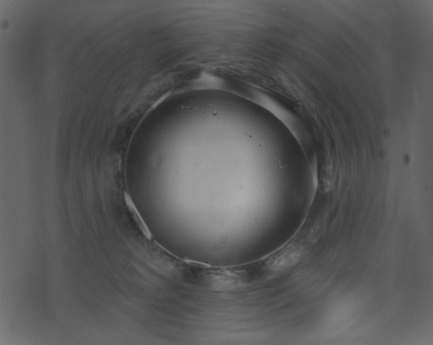 X0000071770229200606301203