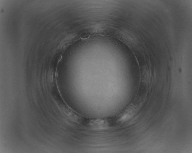 X0000071770230200606301203