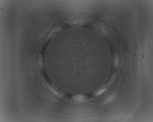 X0000071770231200606301203