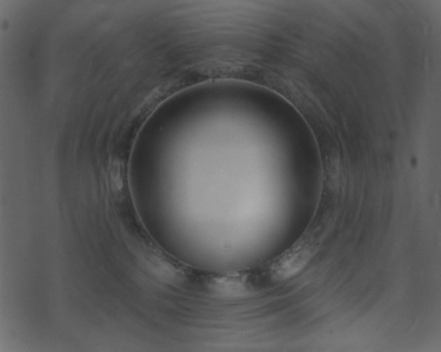 X0000071770232200606301203