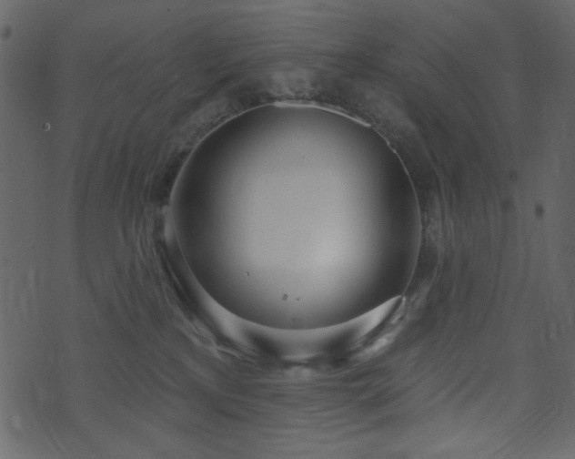 X0000071770233200606301203