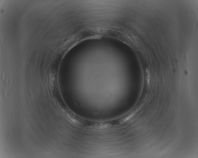 X0000071770235200606301203