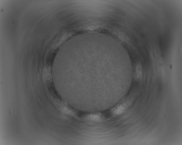 X0000071770236200606301203