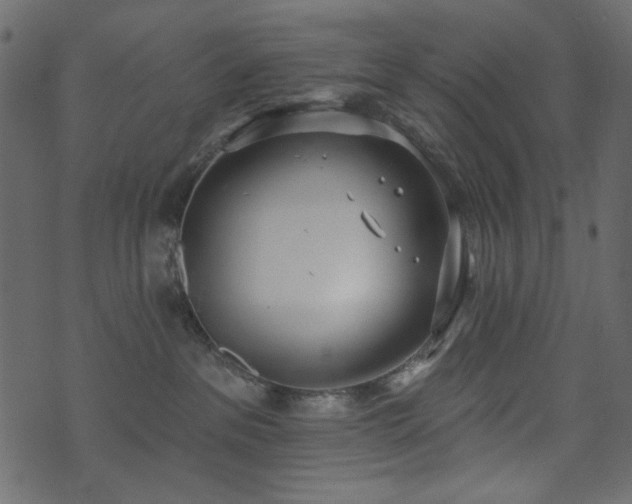 X0000071770237200606301203