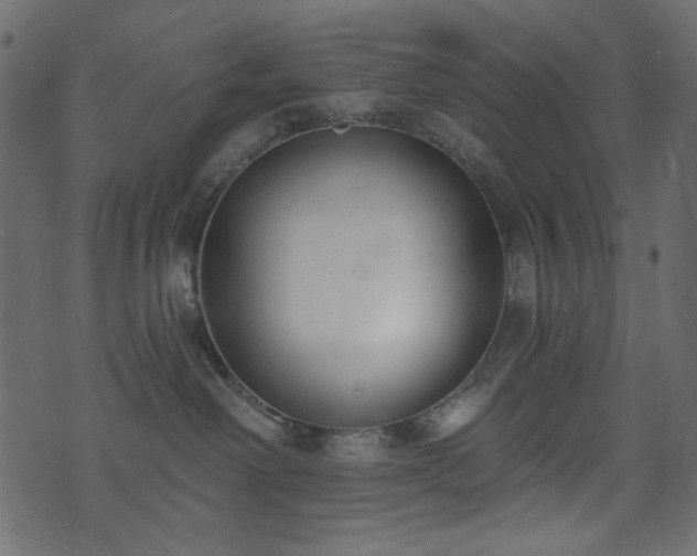 X0000071770238200606301203