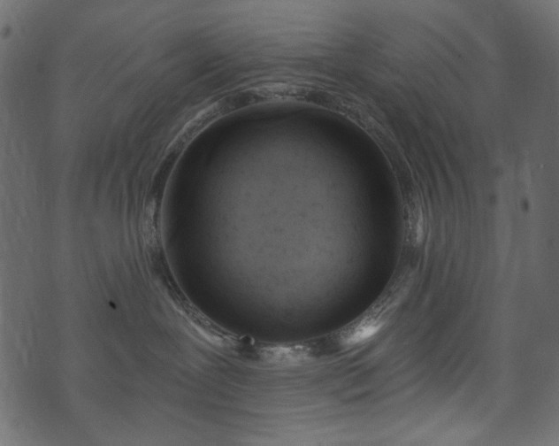 X0000071770239200606301203