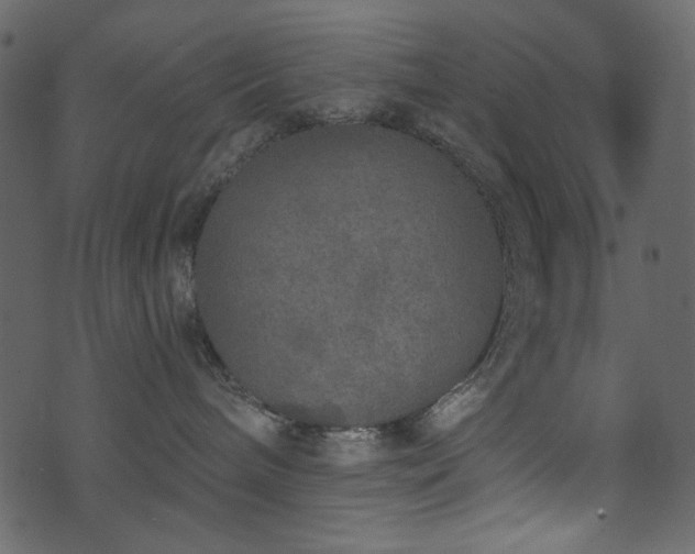 X0000071770240200606301203