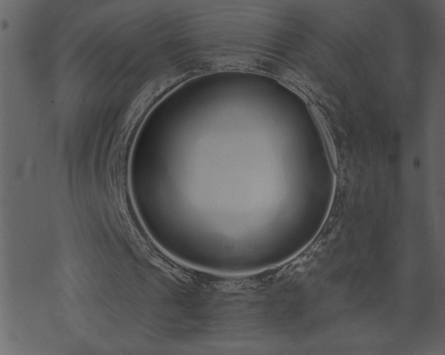 X0000071770241200606301202