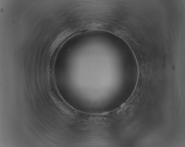 X0000071770242200606301202