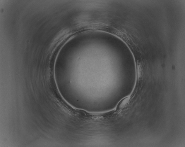 X0000071770243200606301202