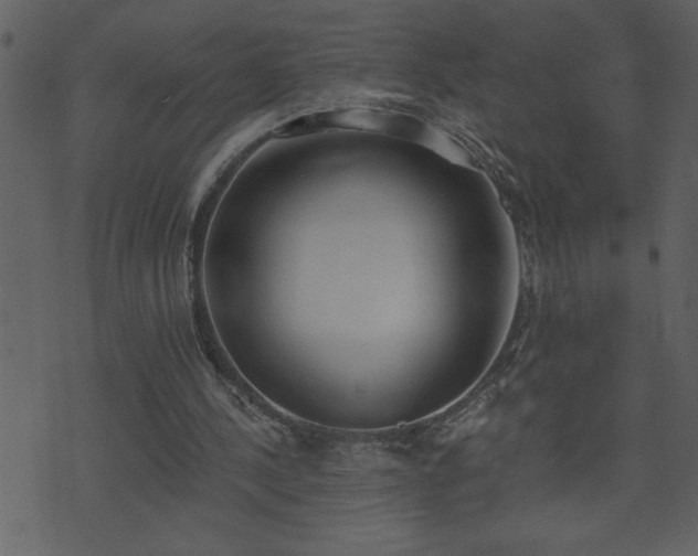 X0000071770244200606301202