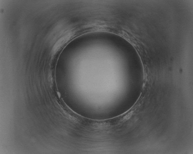 X0000071770245200606301202