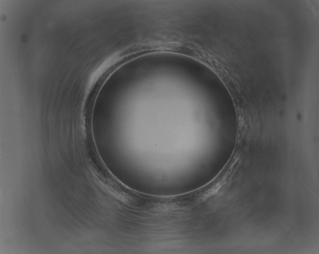 X0000071770246200606301202