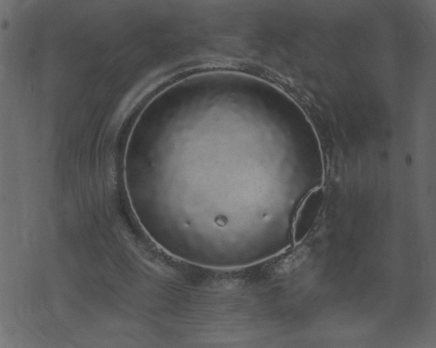 X0000071770247200606301202