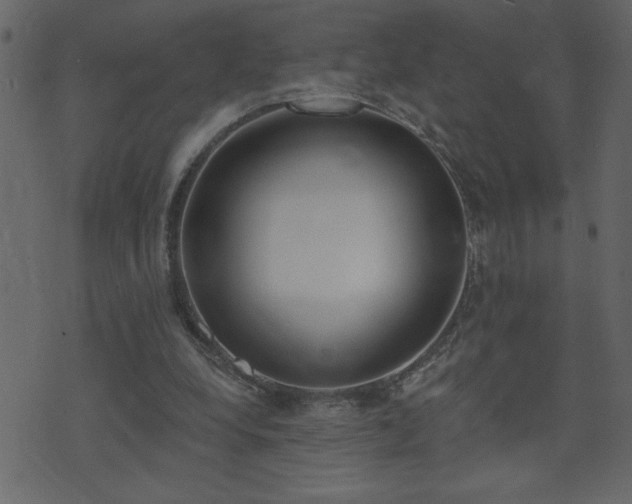 X0000071770248200606301202