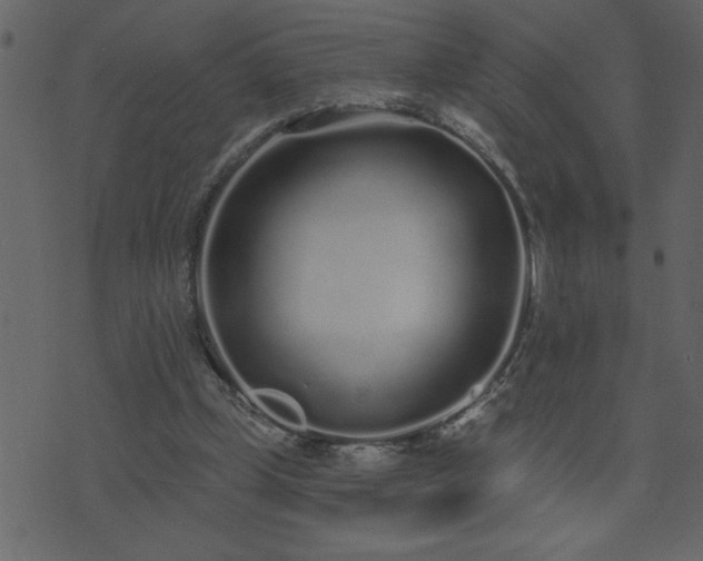 X0000071770249200606301202