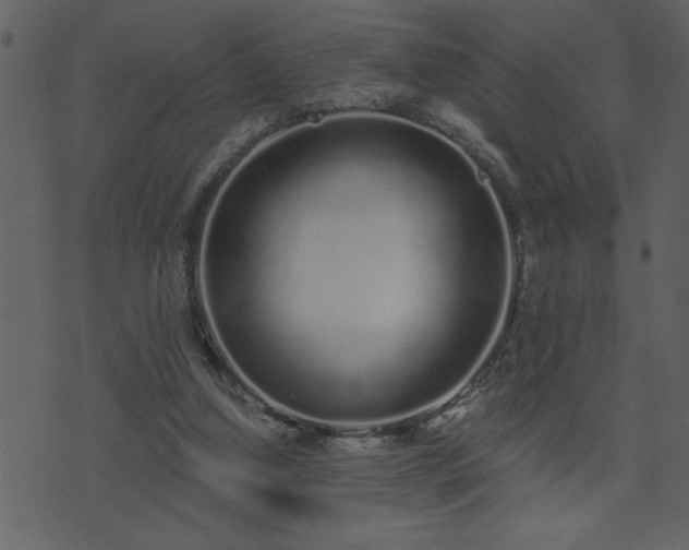 X0000071770250200606301202