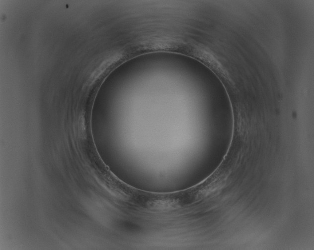 X0000071770251200606301202