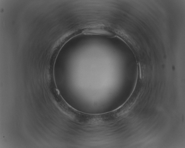 X0000071770252200606301202