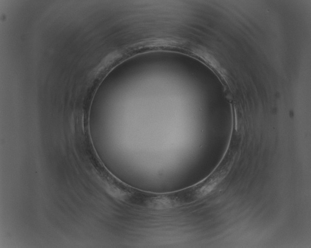 X0000071770253200606301202