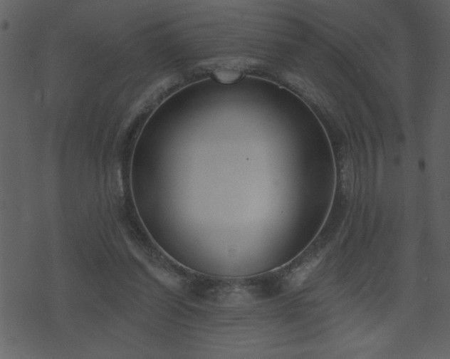 X0000071770254200606301202