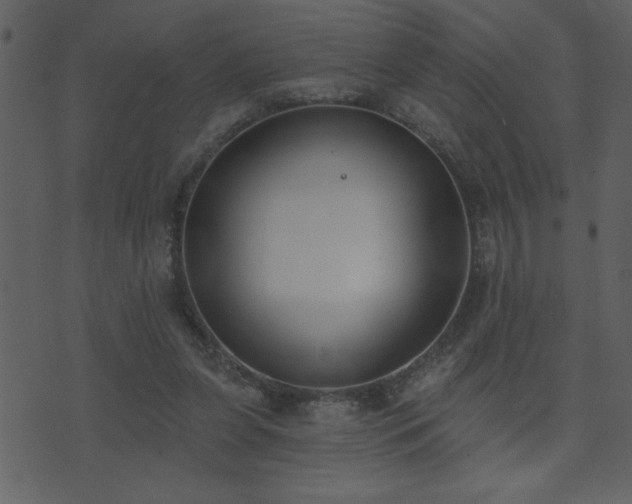 X0000071770255200606301202