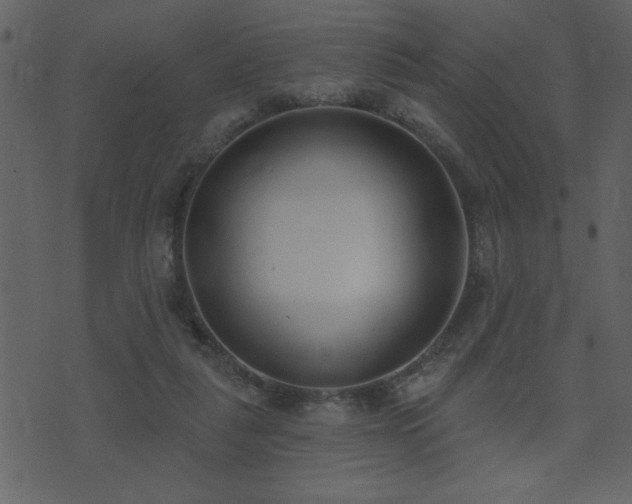 X0000071770259200606301202