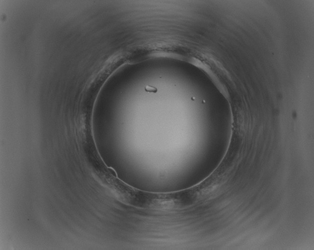 X0000071770260200606301202