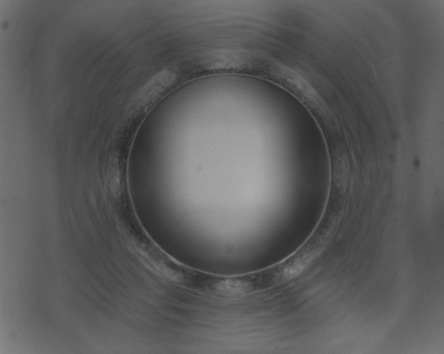 X0000071770261200606301202