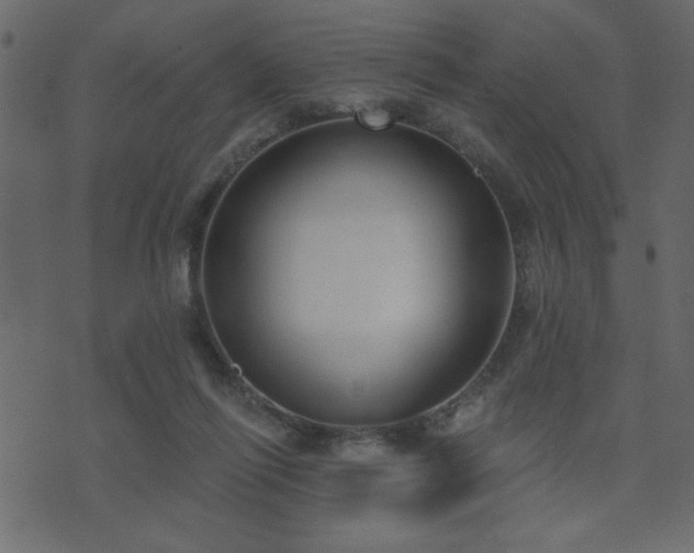 X0000071770262200606301202