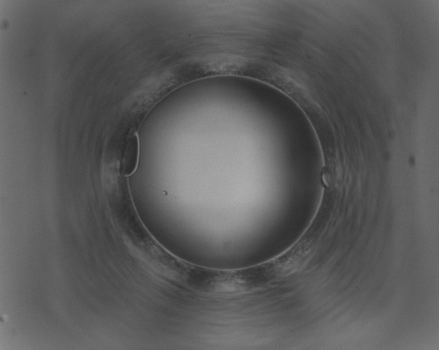 X0000071770263200606301202