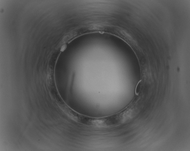 X0000071770265200606301202