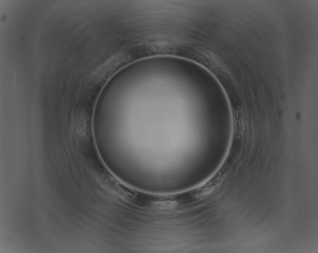 X0000071770266200606301202