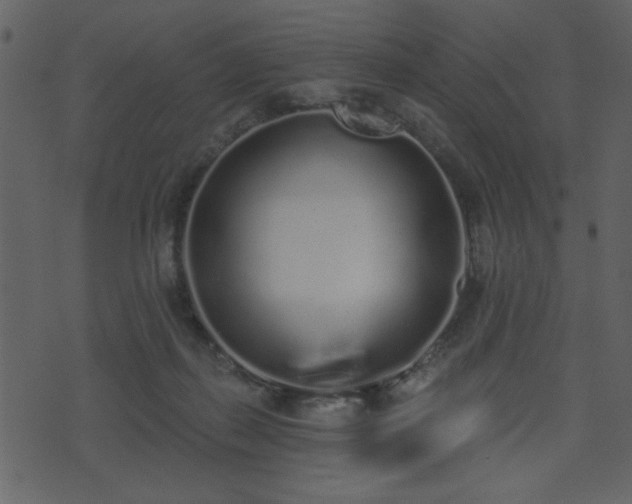 X0000071770267200606301202