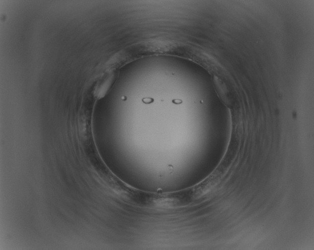 X0000071770268200606301202