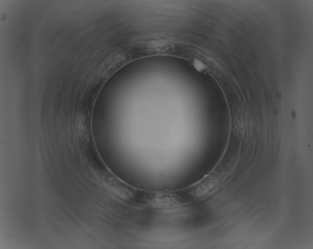 X0000071770270200606301202