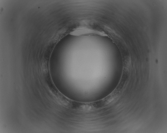 X0000071770272200606301203