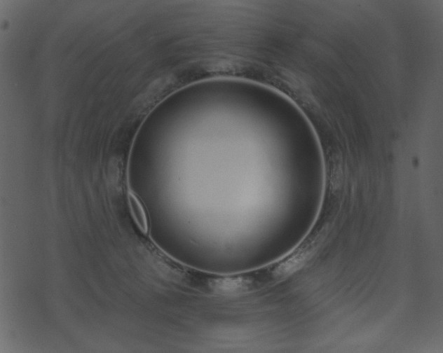 X0000071770273200606301203